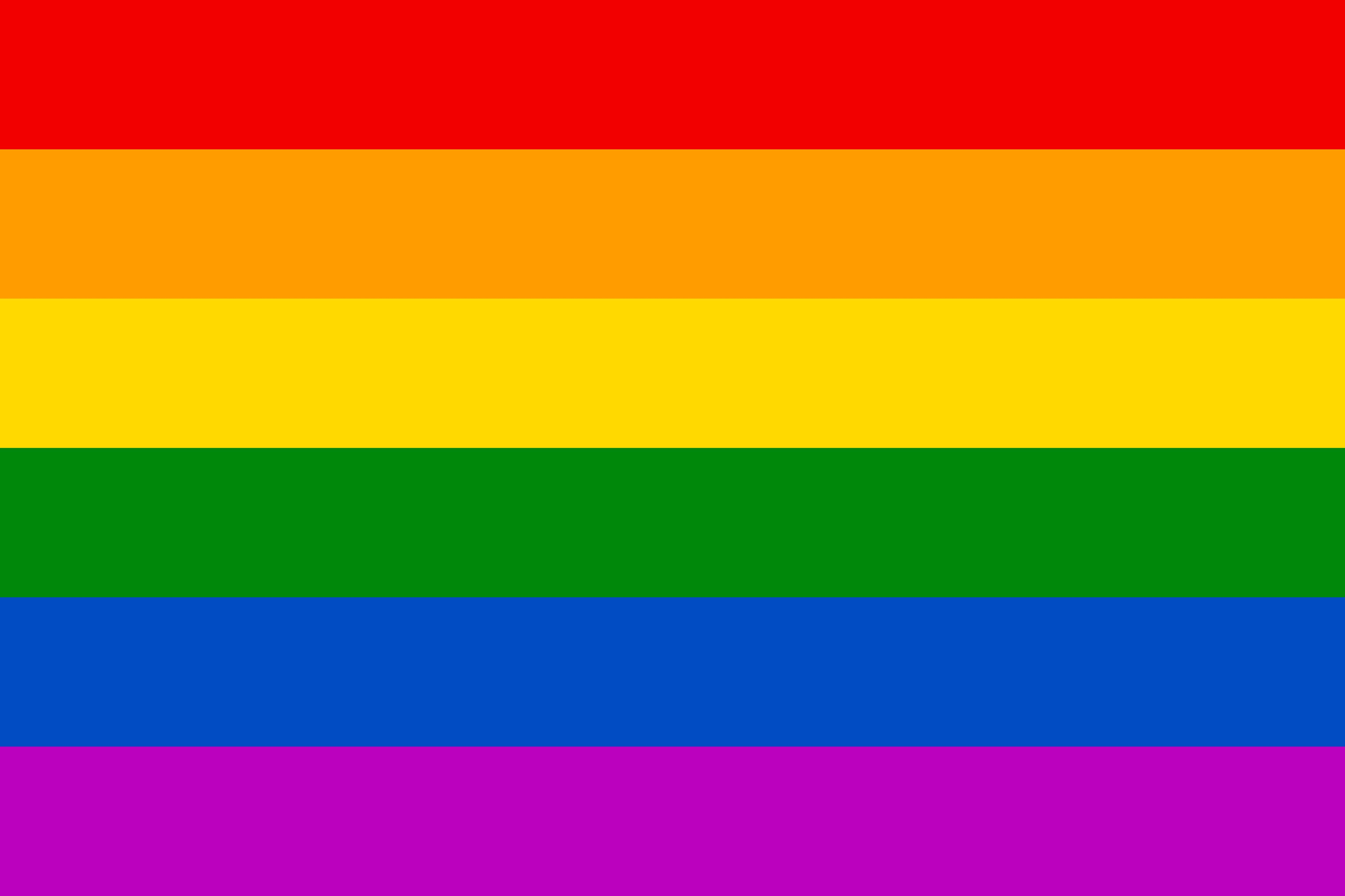 bandiere LGBTQIA+ significato guida, bandiere LGBTQIA+ significato, LGBTQIA+ guida
